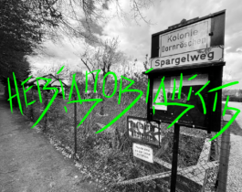 you promised me a city