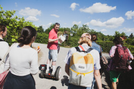 you promised me a city