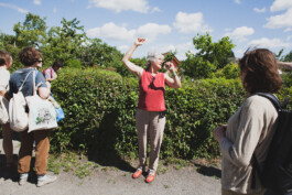 you promised me a city