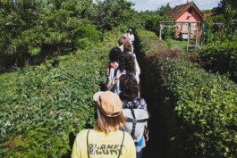 you promised me a city