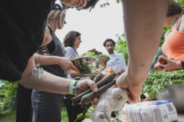 you promised me a city