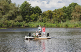 you promised me a city