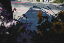 you promised me a city