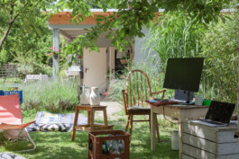 you promised me a city