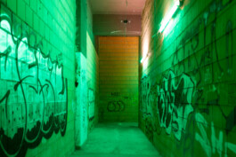 you promised me a city