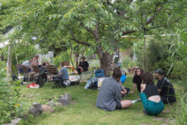 you promised me a city