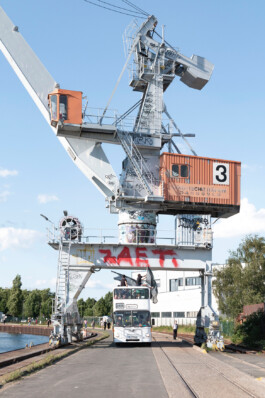 you promised me a city