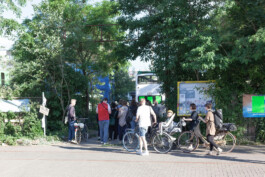 you promised me a city