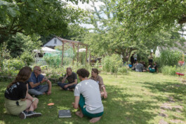 you promised me a city